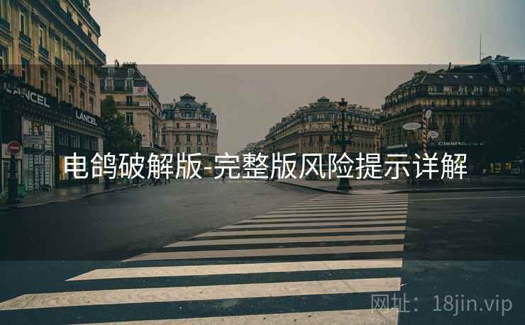 电鸽破解版-完整版风险提示详解