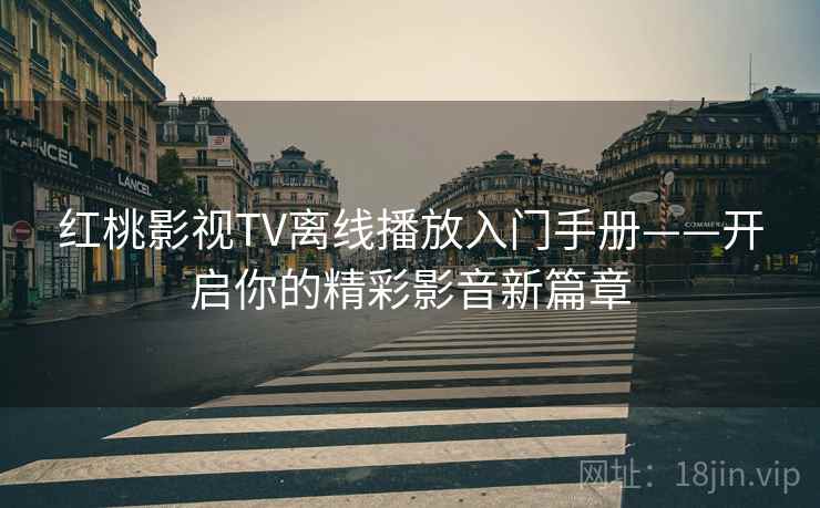 红桃影视TV离线播放入门手册——开启你的精彩影音新篇章