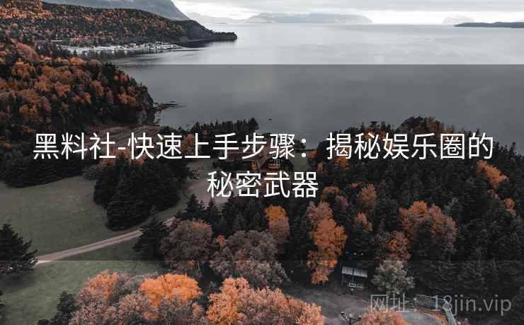 黑料社-快速上手步骤：揭秘娱乐圈的秘密武器