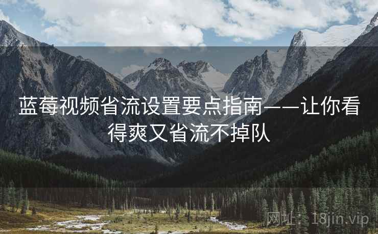 蓝莓视频省流设置要点指南——让你看得爽又省流不掉队