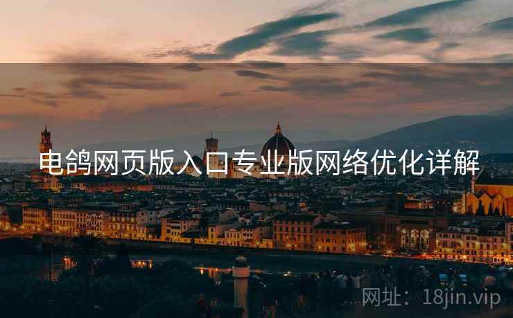 电鸽网页版入口专业版网络优化详解
