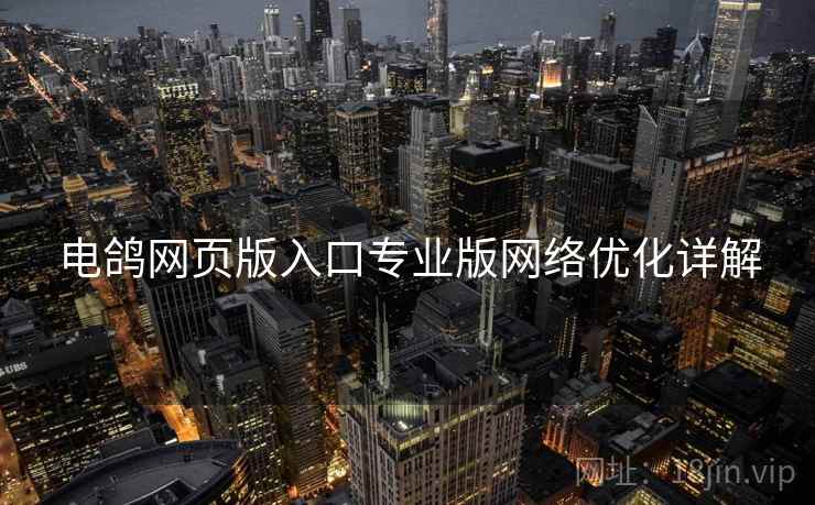 电鸽网页版入口专业版网络优化详解
