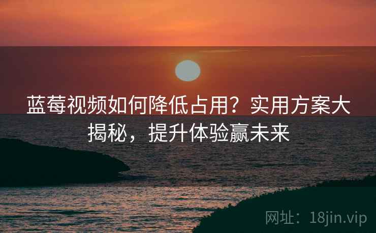 蓝莓视频如何降低占用？实用方案大揭秘，提升体验赢未来