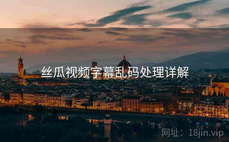 丝瓜视频字幕乱码处理详解