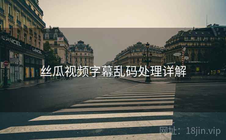 丝瓜视频字幕乱码处理详解