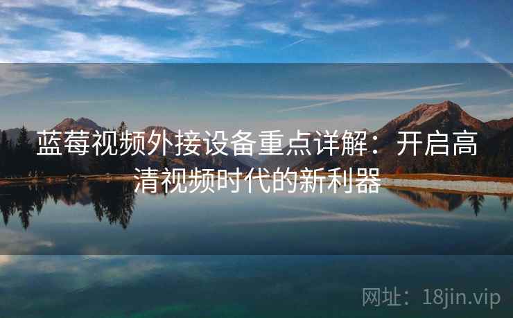 蓝莓视频外接设备重点详解：开启高清视频时代的新利器