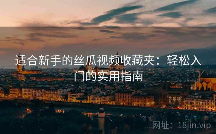 适合新手的丝瓜视频收藏夹：轻松入门的实用指南