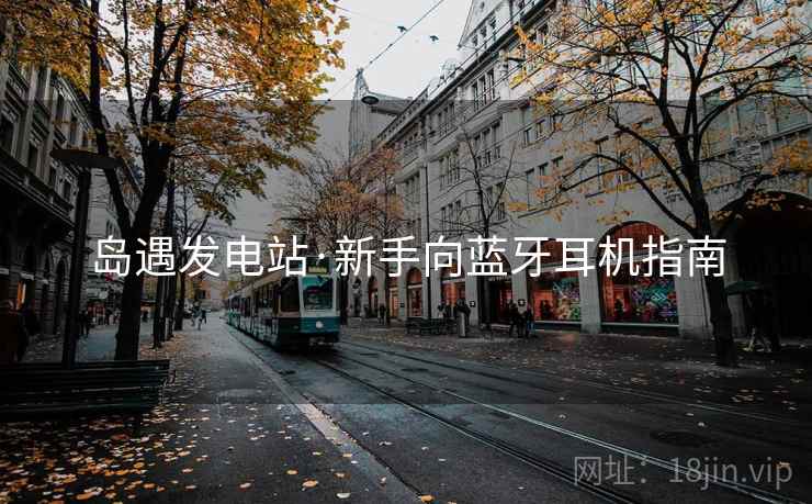 岛遇发电站·新手向蓝牙耳机指南