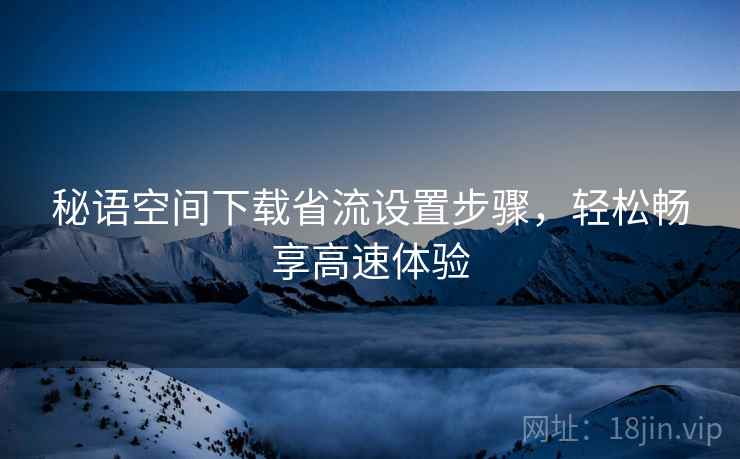 秘语空间下载省流设置步骤，轻松畅享高速体验