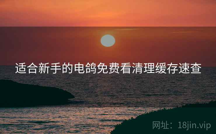 适合新手的电鸽免费看清理缓存速查
