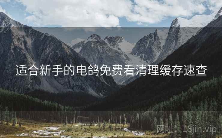 适合新手的电鸽免费看清理缓存速查