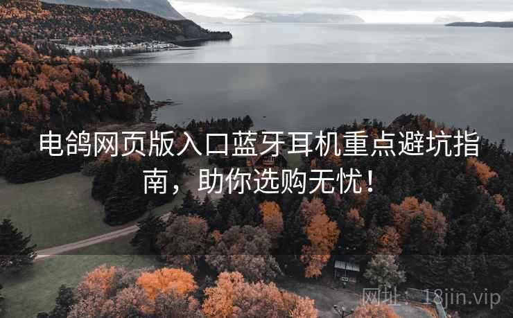 电鸽网页版入口蓝牙耳机重点避坑指南，助你选购无忧！