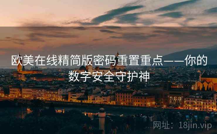 欧美在线精简版密码重置重点——你的数字安全守护神